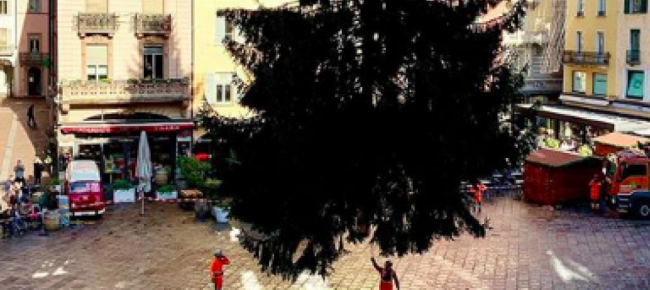 Decorazioni Natalizie Lugano.Lugano L Albero Di Natale E Arrivato Borradori Finalmente Lo Possiamo Dire Che Il Natale Abbia Inizio Libera Tv