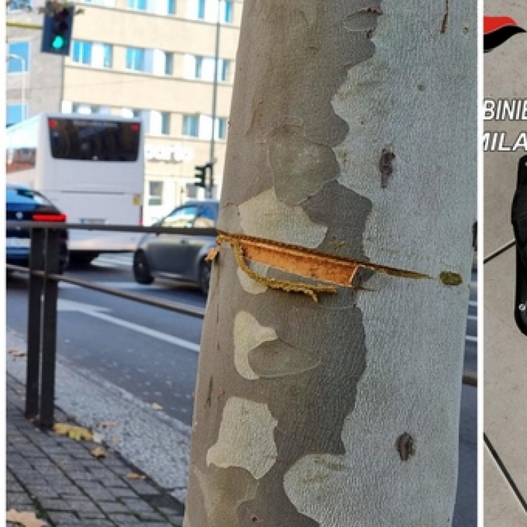 Milano, cavo di acciaio messo in strada ad altezza uomo 